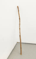 Art World Celebrity Sticks by Bill Burns