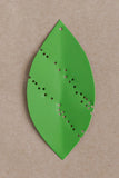 Untitled (leaves) by Michael Dumontier