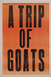 Letterpress Poster by Bill Burns