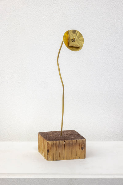 Untitled (Brass flower with base) by Michael Dumontier