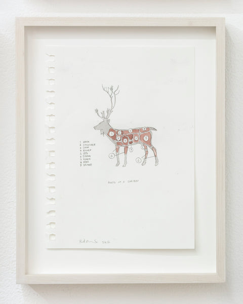 Caribou by Bill Burns, from Pennants, Animals and Curators